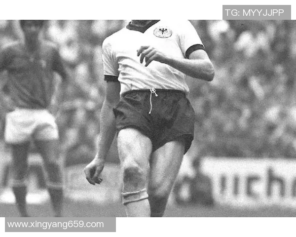 纵览世界足坛巨星档案英文全解与辉煌生涯追踪 纵览世界足坛巨星档案英文全解与辉煌生涯追踪