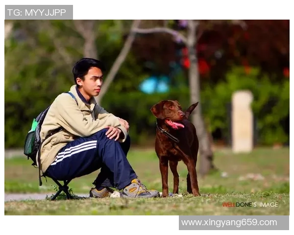 足球明星背影定格瞬间展现运动魅力与无尽拼搏精神