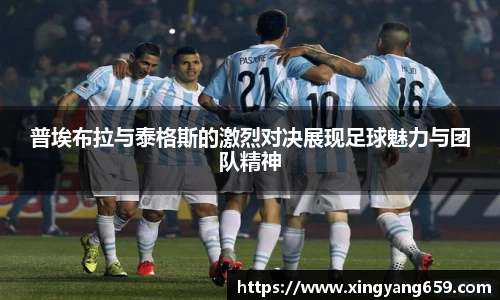 胜游官网